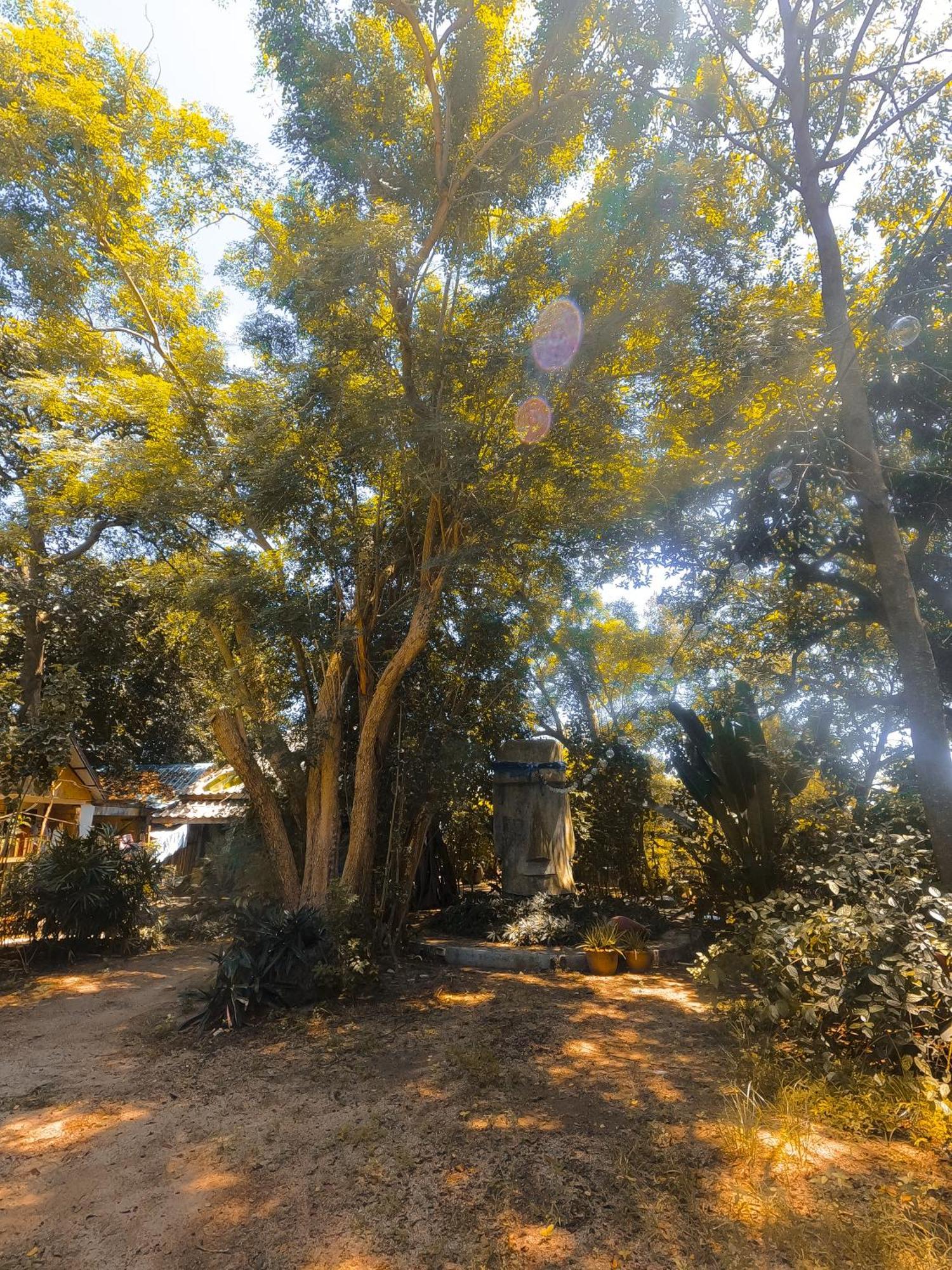 Moov Inn Garden Hostel Κο Τάο Εξωτερικό φωτογραφία