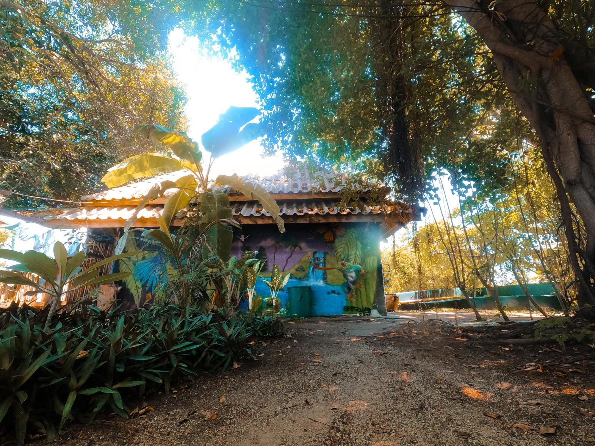 Moov Inn Garden Hostel Κο Τάο Εξωτερικό φωτογραφία